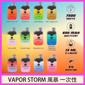 Vapor Storm風暴電子煙7500口（5%）一次性