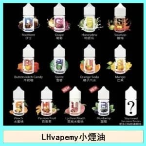 LHvapemy馬來西亞主機小煙油30ml